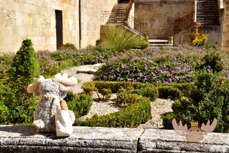 Auf diesem Bild ist der Garten des Bischofspalasts unterhalb des Kreuzgangs der Kathedrale Saint-Nazaire von Béziers zu sehen. | This picture shows the garden of the bishop's palace below the cloister of the cathedral Saint-Nazaire of Béziers.