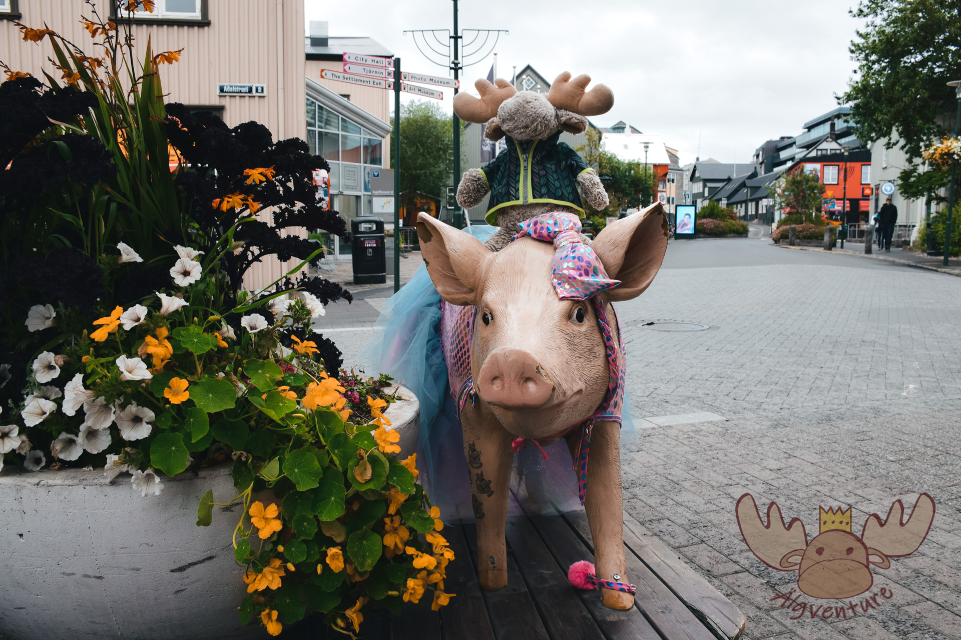 Reykjavik | Älgbert sitzt auf einer festlich gekleideten Schweinestatue im Zentrum der isländischen Hauptstadt. - Älgbert sits on a festively dressed pig statue in the centre of the Icelandic capital.