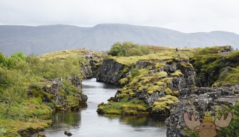 Þingvellir | Im Þingvellir-Nationalpark können Tauchgänge gebucht werden und man schwimmt zwischen den Kontinentalplatten. - In Þingvellir National Park you can book dives and swim between the continental plates.
