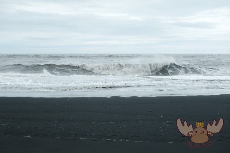 Vík í Mýrdal | Die Wellen bilden einen schönen farblichen Kontrast zum schwarzen Sand aus Vulkangestein. - The waves form a beautiful colour contrast to the black sand made of volcanic rock.