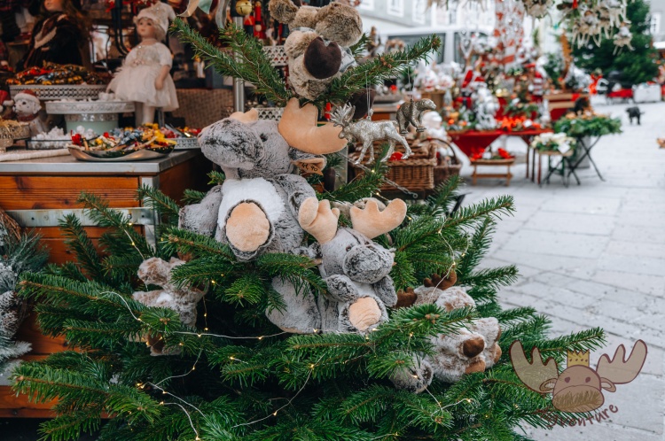Elche am Christkindlmarkt im Zentrum von Salzburg. - Elks at the Christmas market in the centre of Salzburg.